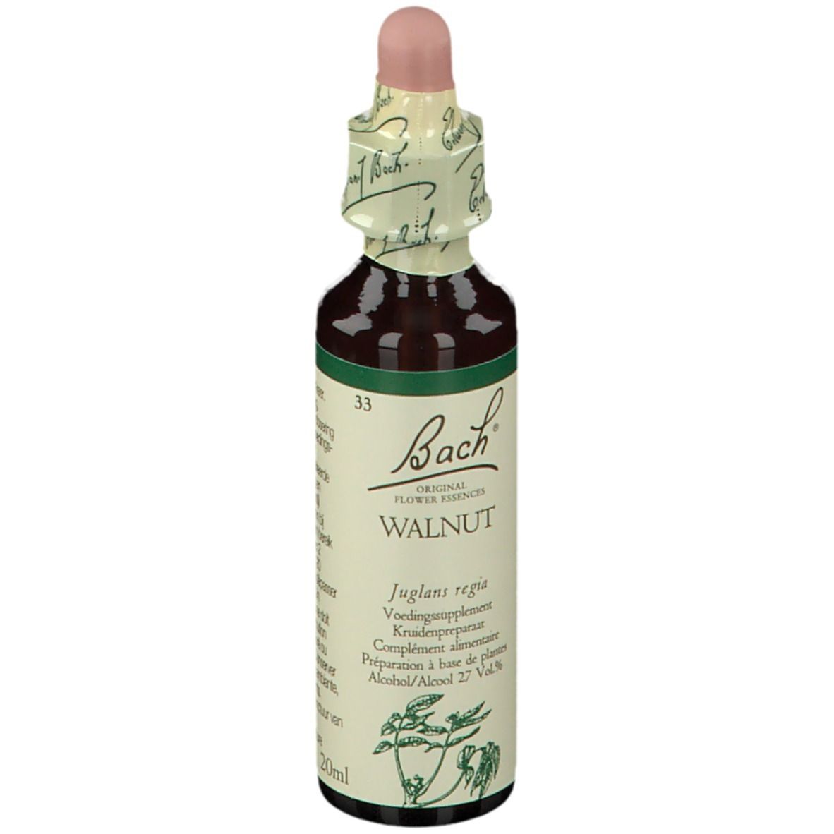 Walnut / walnoot